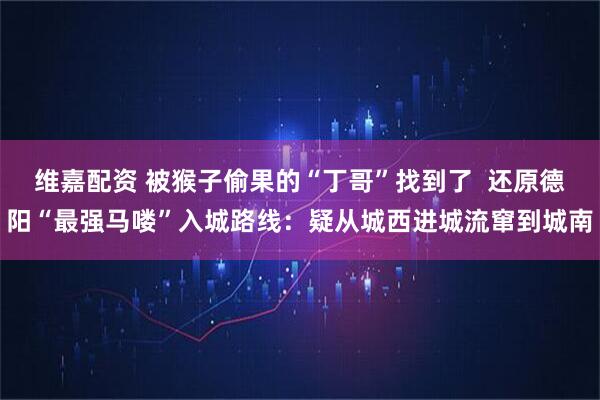 维嘉配资 被猴子偷果的“丁哥”找到了  还原德阳“最强马喽”入城路线：疑从城西进城流窜到城南