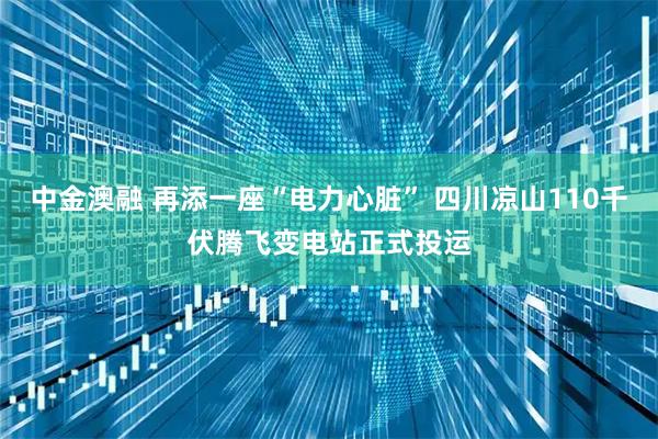 中金澳融 再添一座“电力心脏” 四川凉山110千伏腾飞变电站正式投运