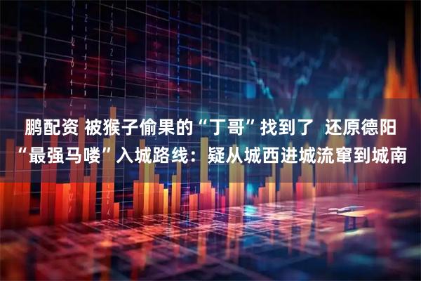 鹏配资 被猴子偷果的“丁哥”找到了  还原德阳“最强马喽”入城路线：疑从城西进城流窜到城南