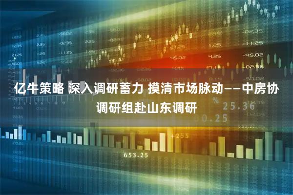 亿牛策略 深入调研蓄力 摸清市场脉动——中房协调研组赴山东调研