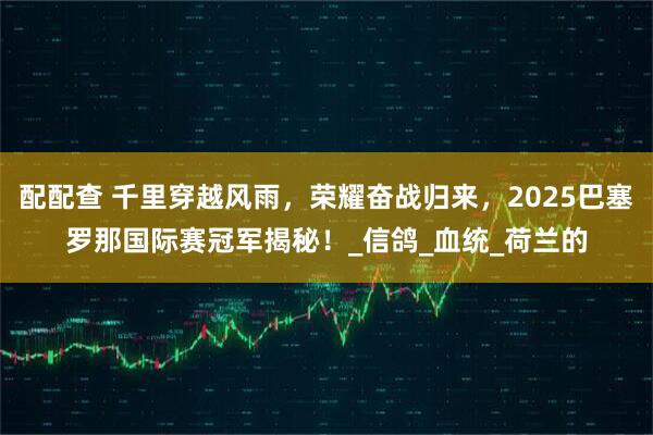 配配查 千里穿越风雨，荣耀奋战归来，2025巴塞罗那国际赛冠军揭秘！_信鸽_血统_荷兰的